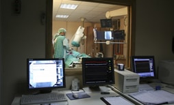 Как проводят операцию паратиреоидэктомии в клиниках Израиля